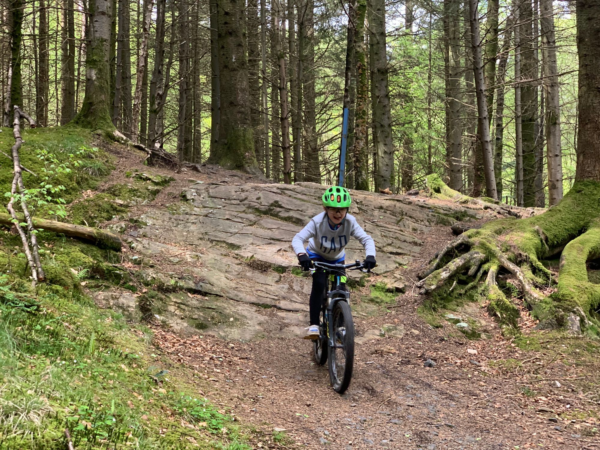 Father and son weekend at Galloway Forest Park