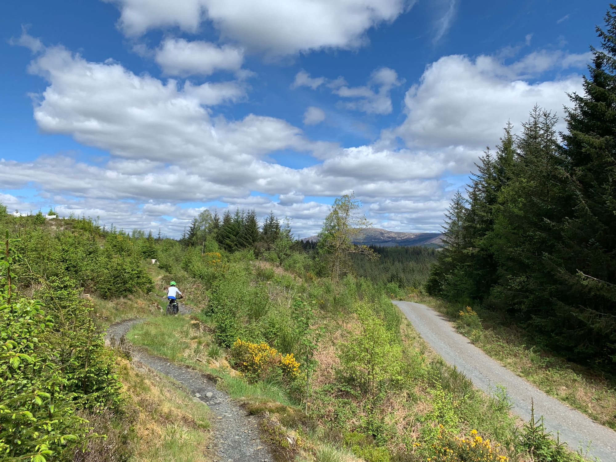 Father and son weekend at Galloway Forest Park