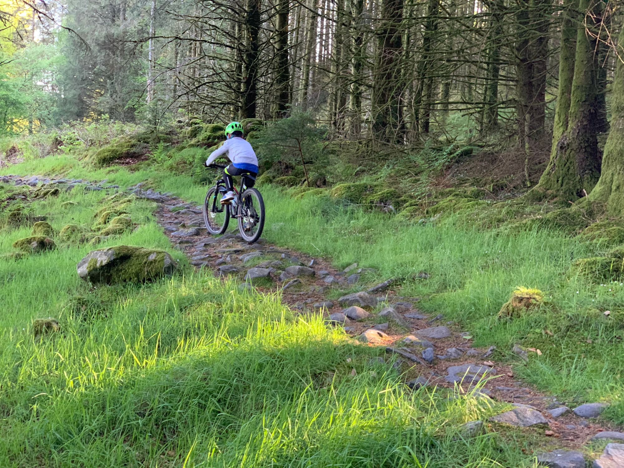 Father and son weekend at Galloway Forest Park