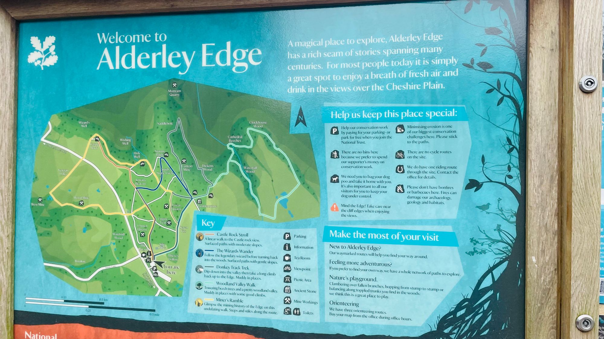 Alderley Edge