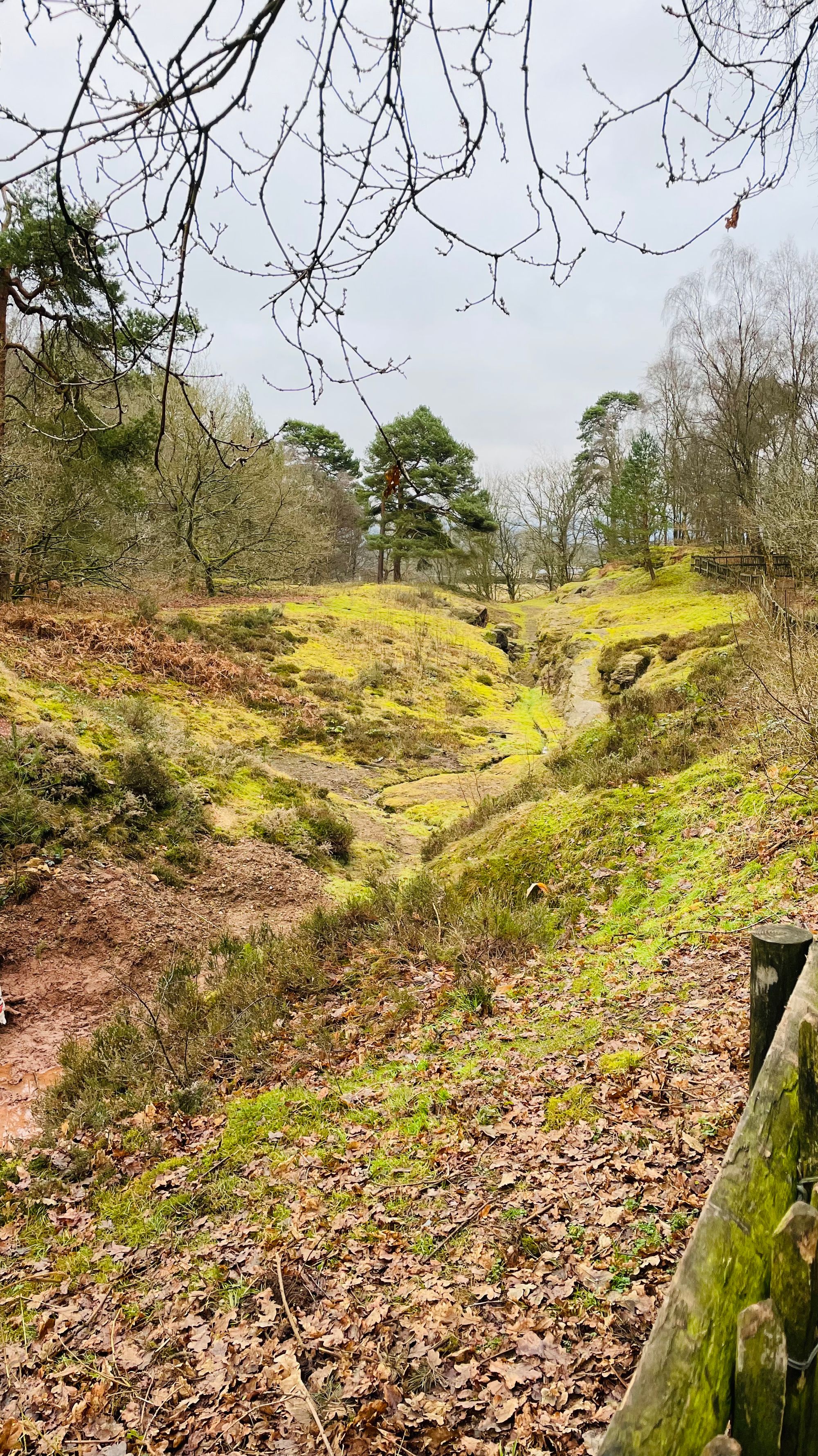 Alderley Edge